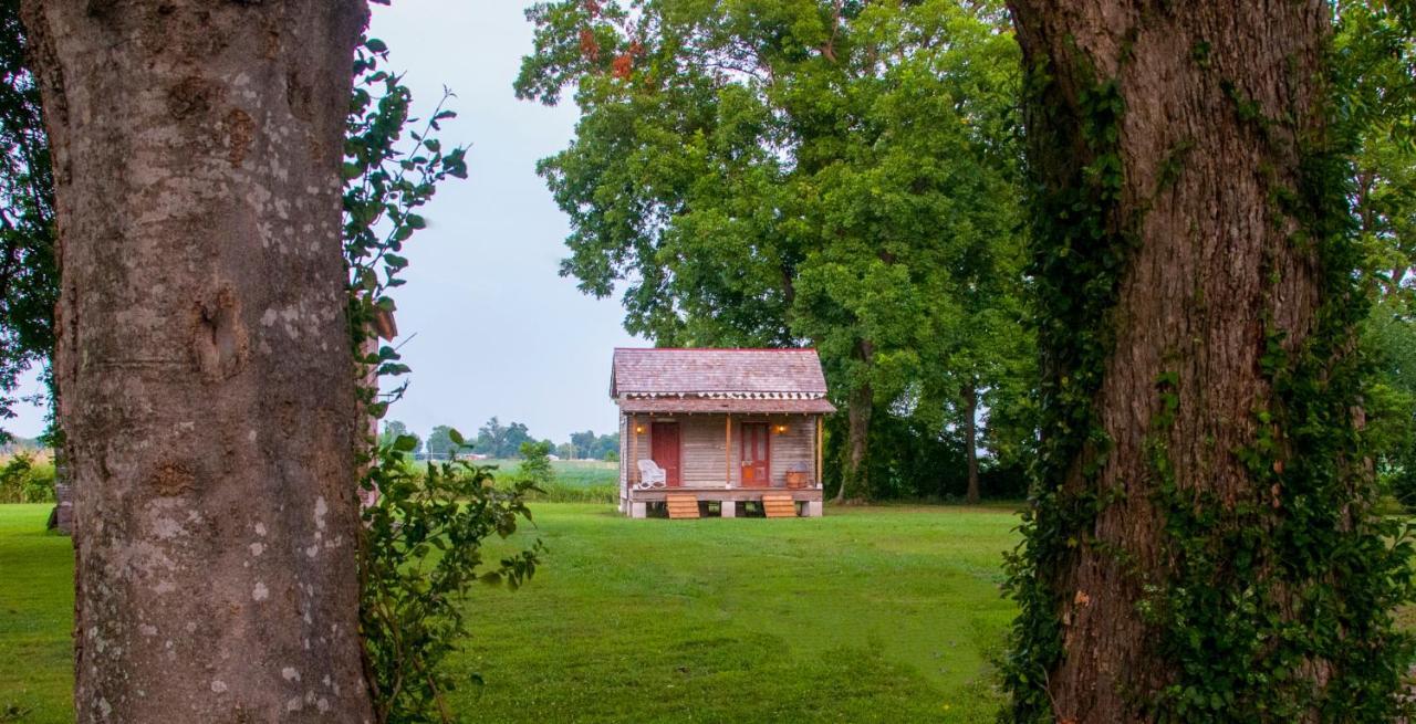 Belmont Plantation, Est 1857 Bed & Breakfast Greenville Bagian luar foto